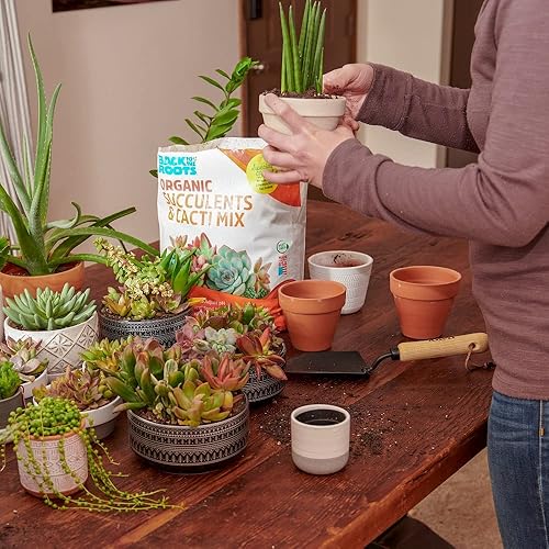Miniatura 7 de Back to The Roots Mezcla 100% orgánica para suculentas y cactus (6 cuartos de galón)  Fabricado en los Estados Unidos  Nutrición premium para