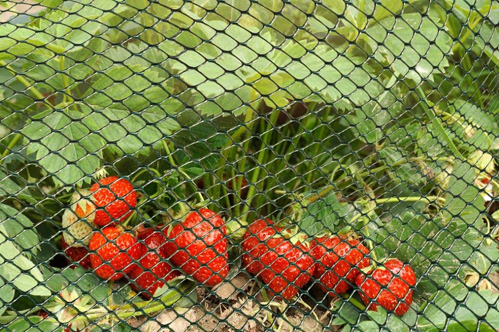 Smart Garden Multi-Mesh – Green 15mm – 1m x 5m