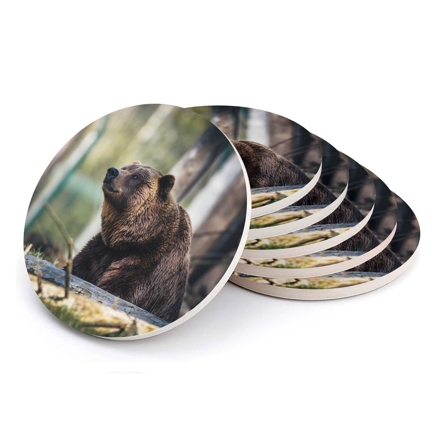 Dessous de verre céramique absorbante motif ours grizzly lot de 6 haute protection table