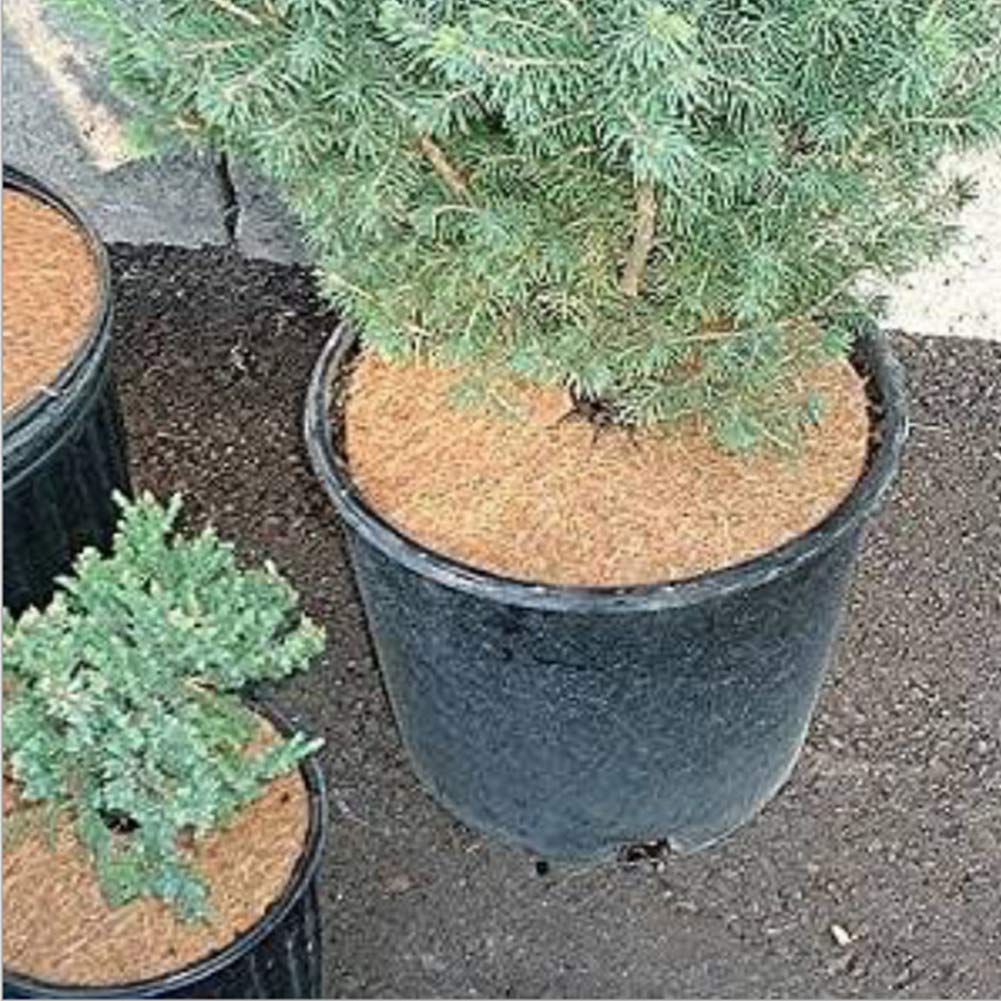 Kokos Mulchscheiben 10 Stück für Topfpflanzen – Frostschutz & Winterschutz Abdeckung, 40 cm Kokosmatten Pflanzenschutz für Garten, Winter Kokos Kübelabdeckung