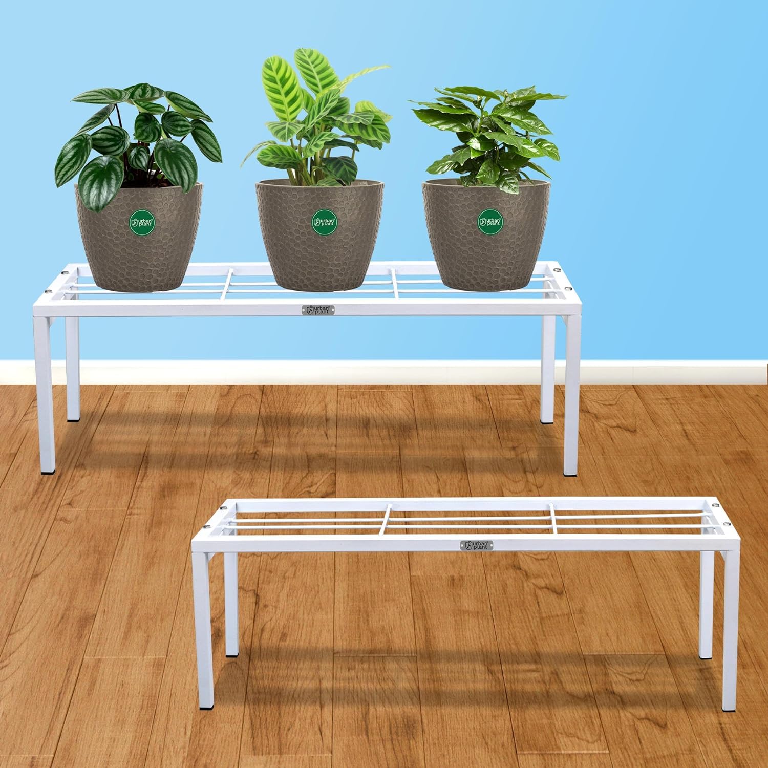 IRON LANDS Elegance High Step Pot Stand Premium Heavy Duty Flower Pot Holder Shelf Indoor Outdoor Planter Display Shelving Unit for Garden Balcony Home Decor (Pack of 2 - White) (B0DFTXN79Q) Amazon Price History, Amazon Price Tracker