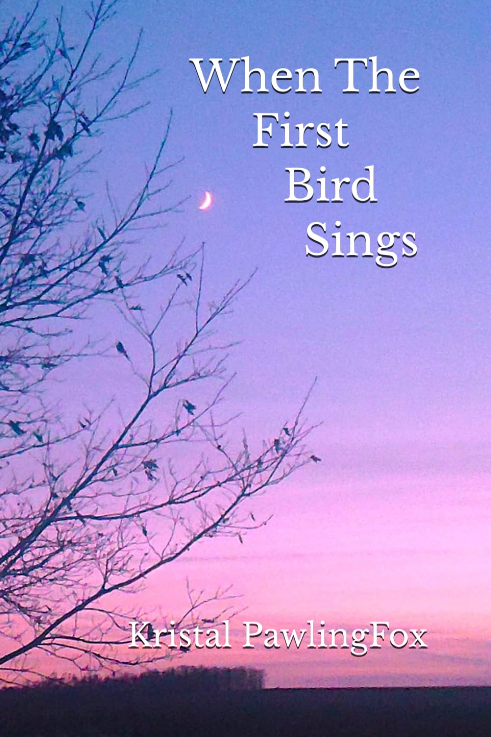 When The First Bird Sings (The Hidden Acres series)