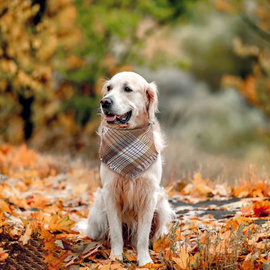 Amazon | HACRAHO 格子縞の犬のバンダナ, 2個 洗える 秋秋ペット