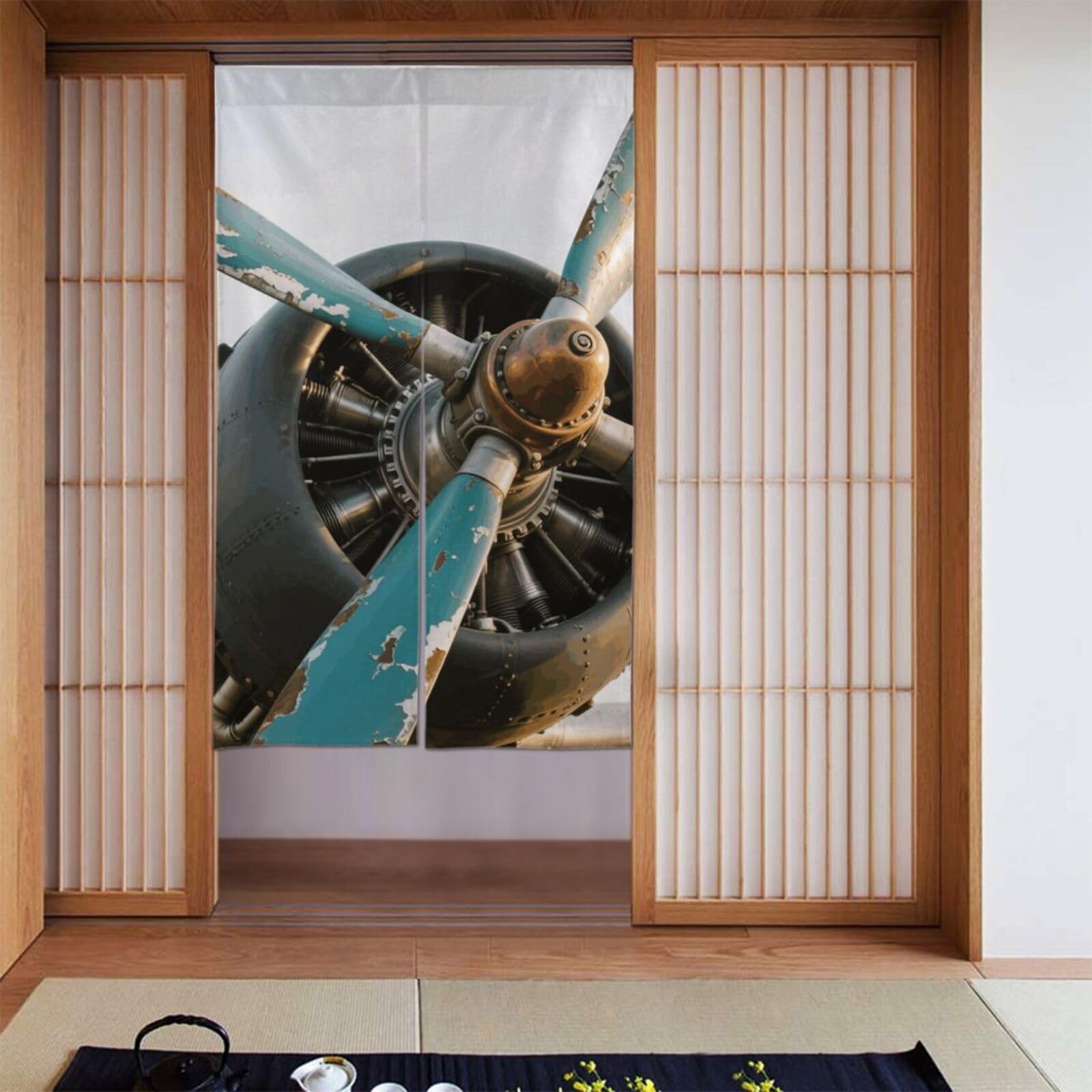 FekiLoot Airplane Door Curtain for Doorway Privac,Personalized Blackout Kitchen Curtains Window Treatment 2 Panel Door Curtain Tapestry Hanging Room Divider Home Decor 34"X 56"