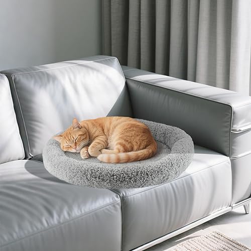 Miniatura 7 de NAMSAN Camas redondas para gatos de interior, 19.5 x 19.5 x 2 pulgadas, almohadilla de cama autocalentable para mascotas con almohada alrededor,