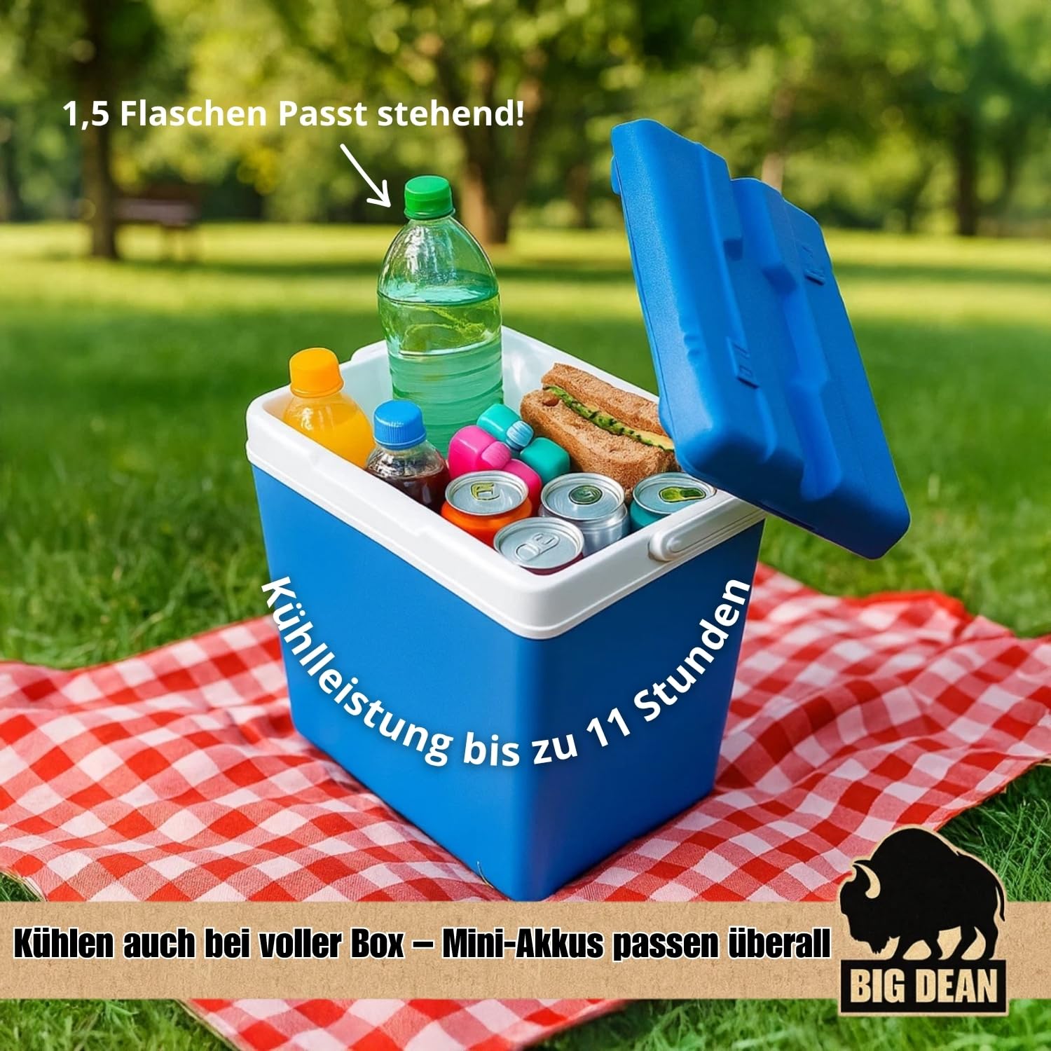 Kühlbox inkl. 12 Kühlakkus 24 Liter Kühlbox mit Akku für bis zu 11 h Kühlung