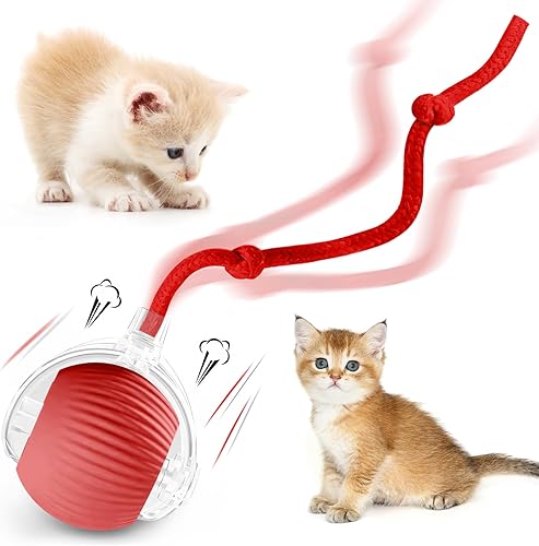 luseyfj - Pelota interactiva para gatos de interior, bola para mascotas, juguete automático mejorado 2025 para gatos adultos aburridos de interior,