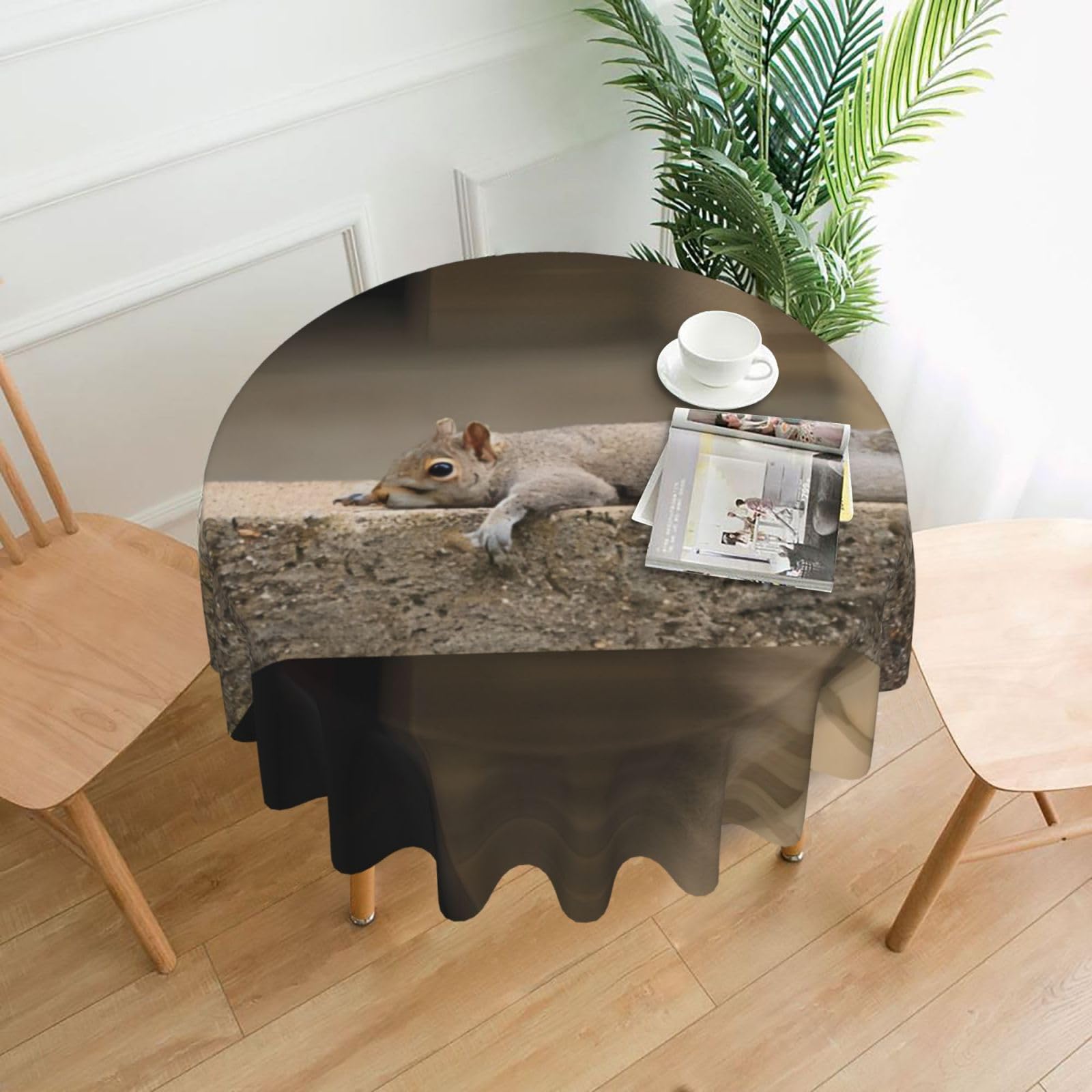 WHJSSF Squirrel Just Laying Prints Round Decorative Table Throw 60 Inch – Waterproof Table Cover for Dining, Coffee Tables, and Outdoor Events