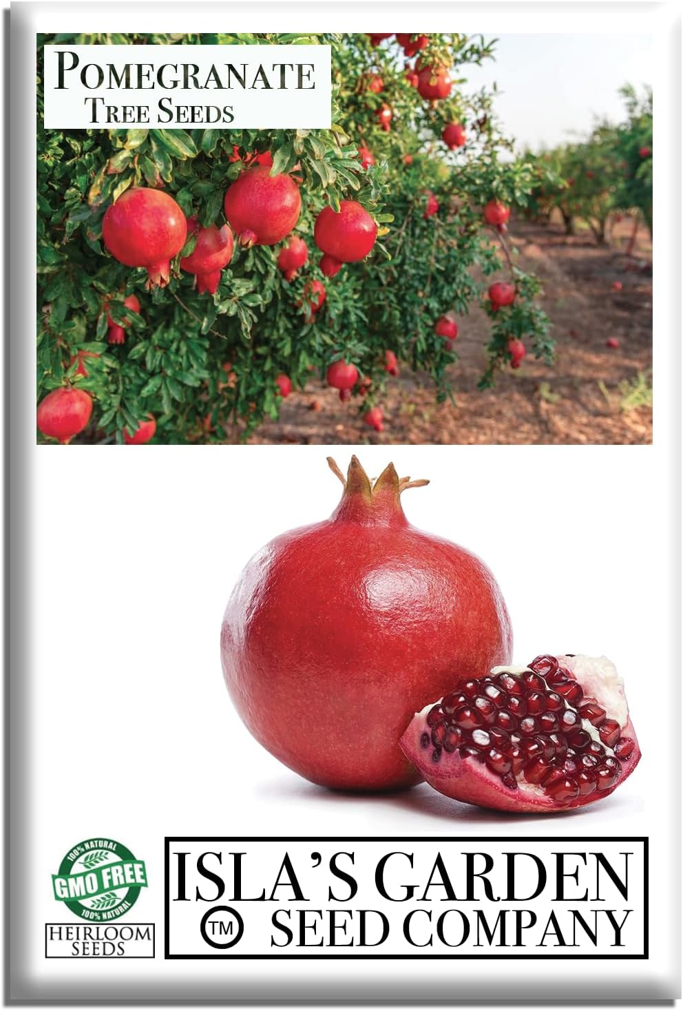 Pomegranate Tree Seeds (Punica granatum) – 30+ Non-GMO Fruit Tree Seeds for Planting, Beautiful Ornamental Tree with Sweet Edible Fruit, by Isla’s Garden Seeds, Gift Idea