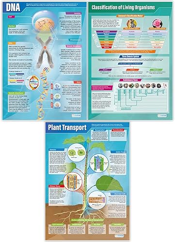 Miniatura 5 de Daydream Education Pósteres de ciencias educativas de biología  Juego de 13 pósteres de biología  Extra Grande 33 x 23 pulgadas de papel brillante