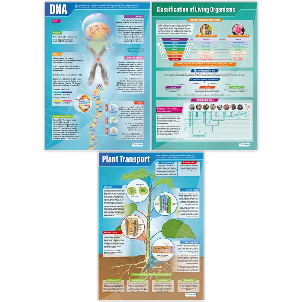 Daydream Education Plakaty biologiczne, zestaw 13 sztuk, plakaty naukowe, papier z połyskiem o wymiarach 850 mm x 594 mm (A1), wykresy naukowe dla klasy, wykresy edukacyjne