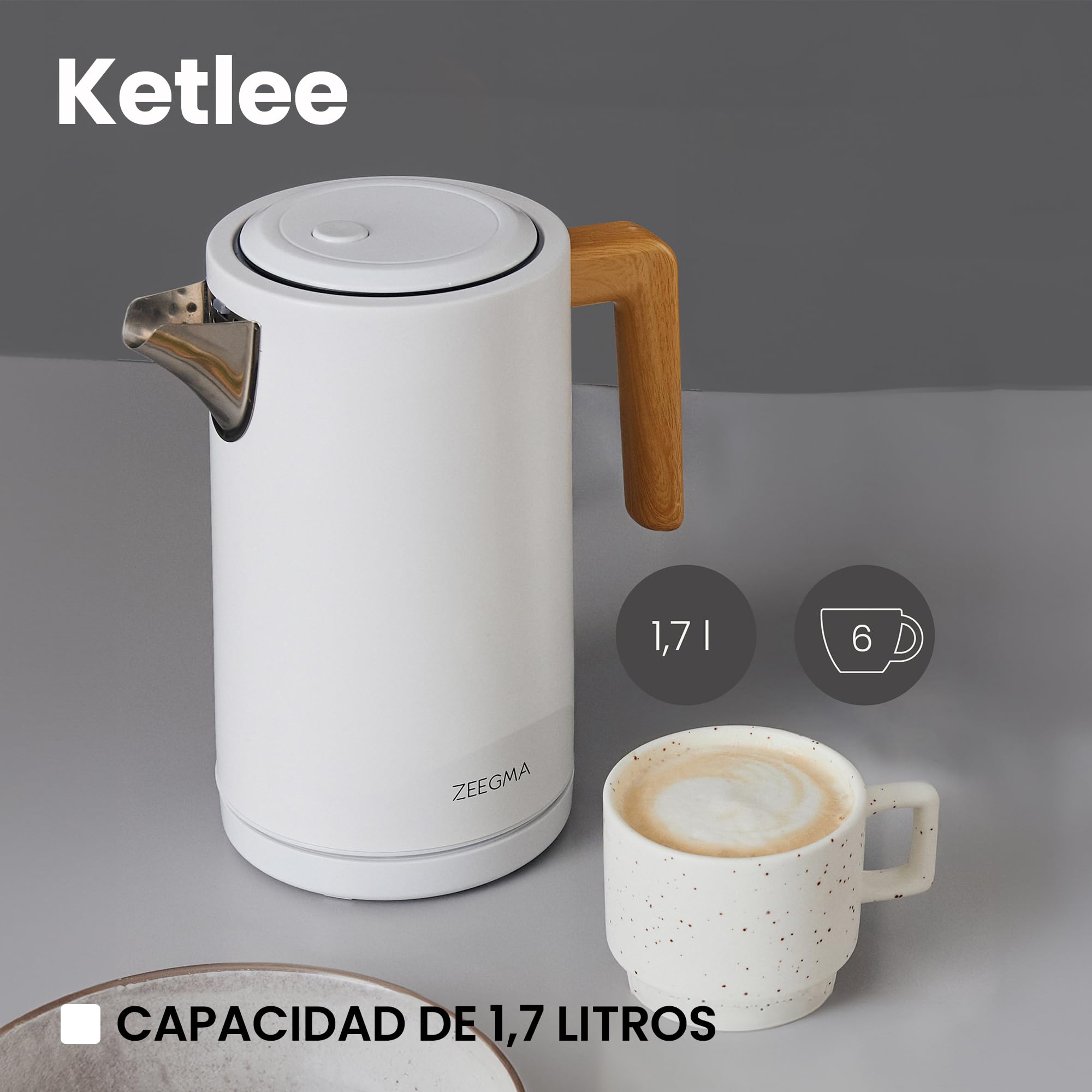 ZEEGMA KETLEE Hervidor de Agua Eléctrico Inalámbrico de 1,7 l para Té Café, Potencia de 2200 W, Indicador de Nivel de Agua, Apagado Automático, Acero Inoxidable Diseño Elegante Moderno