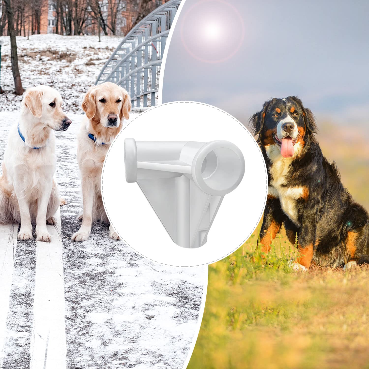 Tensorsine ® Elevated Dog Bed Pet Cot - Raised Dog Bed for Medium Dogs | Dog Bed for Indoor and Outdoor Use