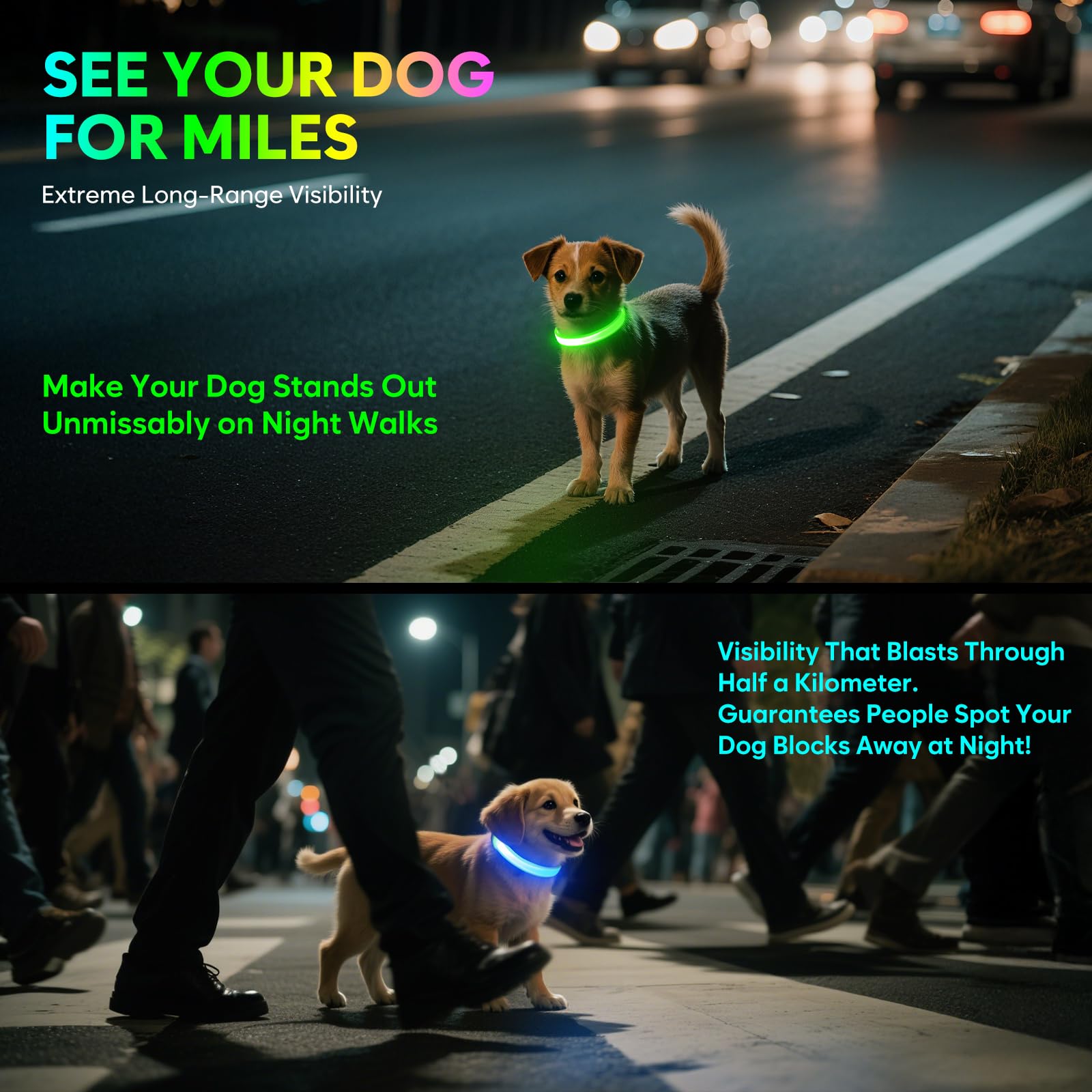 Light up Dog Collar, Multi-Color LED Dog Collar, USB-C Rechargable - Image 4