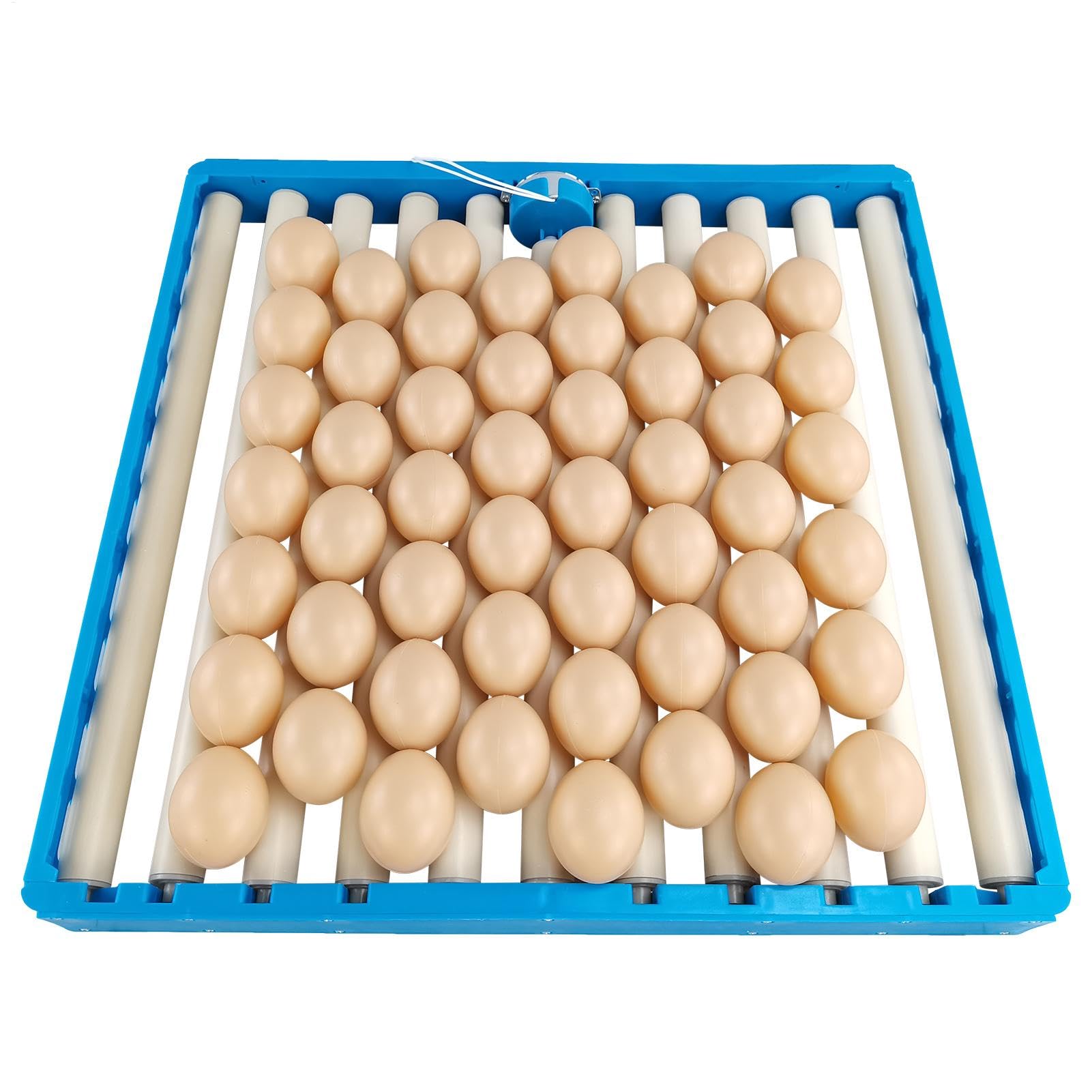 Incubatore Egg Turner | Automatico - Vassoio girevole per schiudere le | uova | Broodter - Incubatore per polli, anatre, quaglie, di, tornere, volatili, rotazione regolabile '
