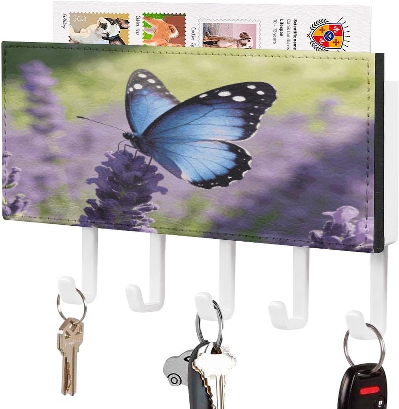 Key Holder Wall Mount Key Hanger with 5 Hooks, Decorative Key Rack | Blue Butterflies Perch in Fragrance Hanging Key Hooks with Mail Organizer for Wall Living Room Kitchen Bathroom Hallway