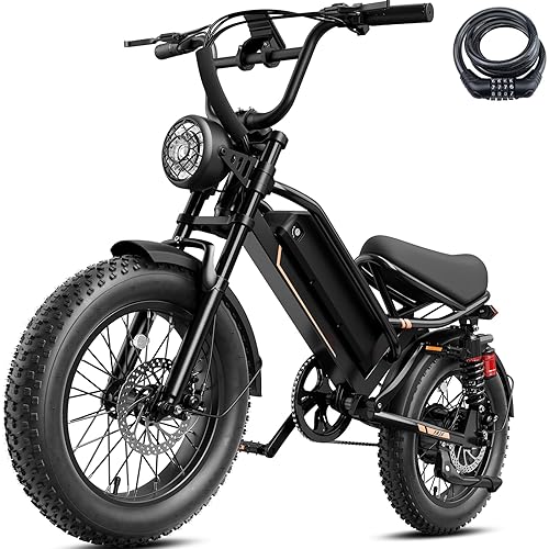 Jasion 3000W/2000W Electric Bike for Adults Teens,Electric Dirt Ebike 80/55 Miles Range,Moped Style E Bike 32/28MPH,20"/16"*4 Fat Tire Off Road Bike with Cruise Control,Dual Suspension E Motorcycle