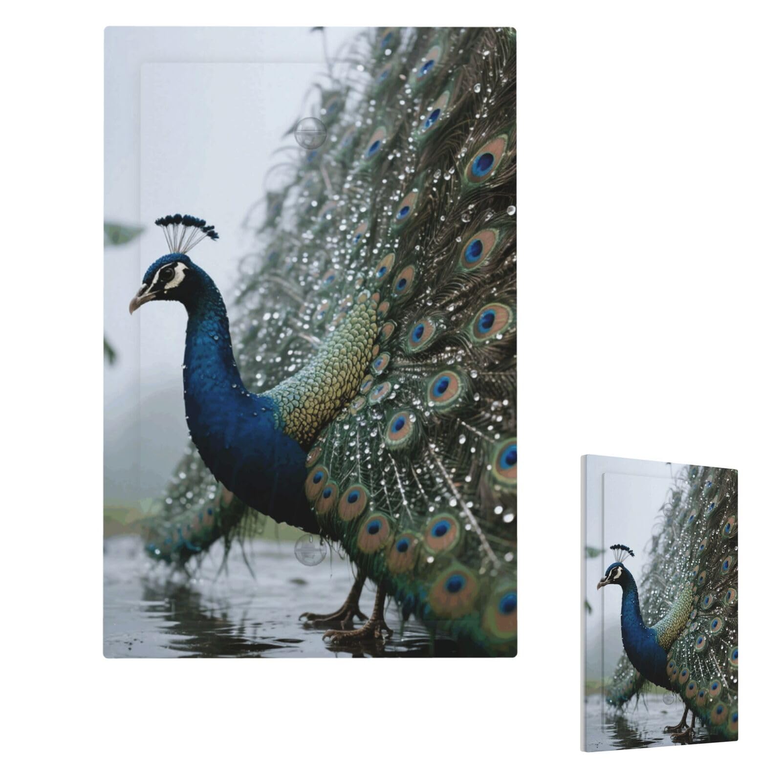 Fekiloot Single Blank Peacock Wall Plate Cover Modern Decorative 1 Gang Light Switch Cover Unbreakable Receptacle Outlet Covers For Living Room Bedroom Home Decor