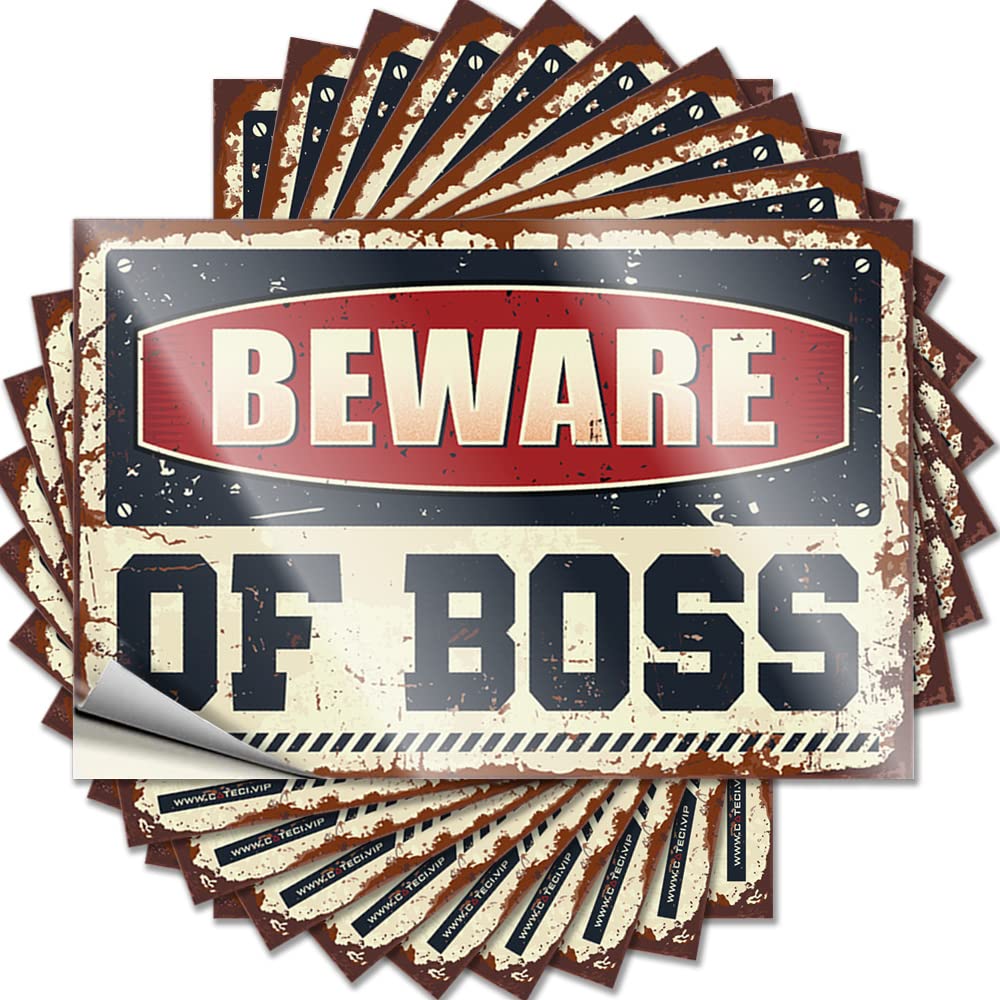 Beware of Boss Wall Fun - Funny Outdoor Decor Saying Self Adhesive Sticker(6X9CM)