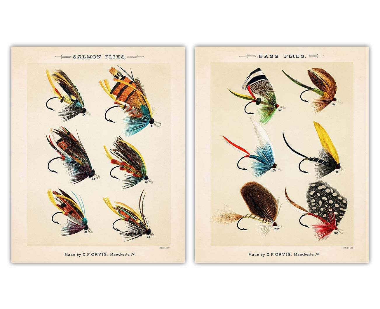 Buzz Unplugged Vintage Fish Lures Wall Art Prints
