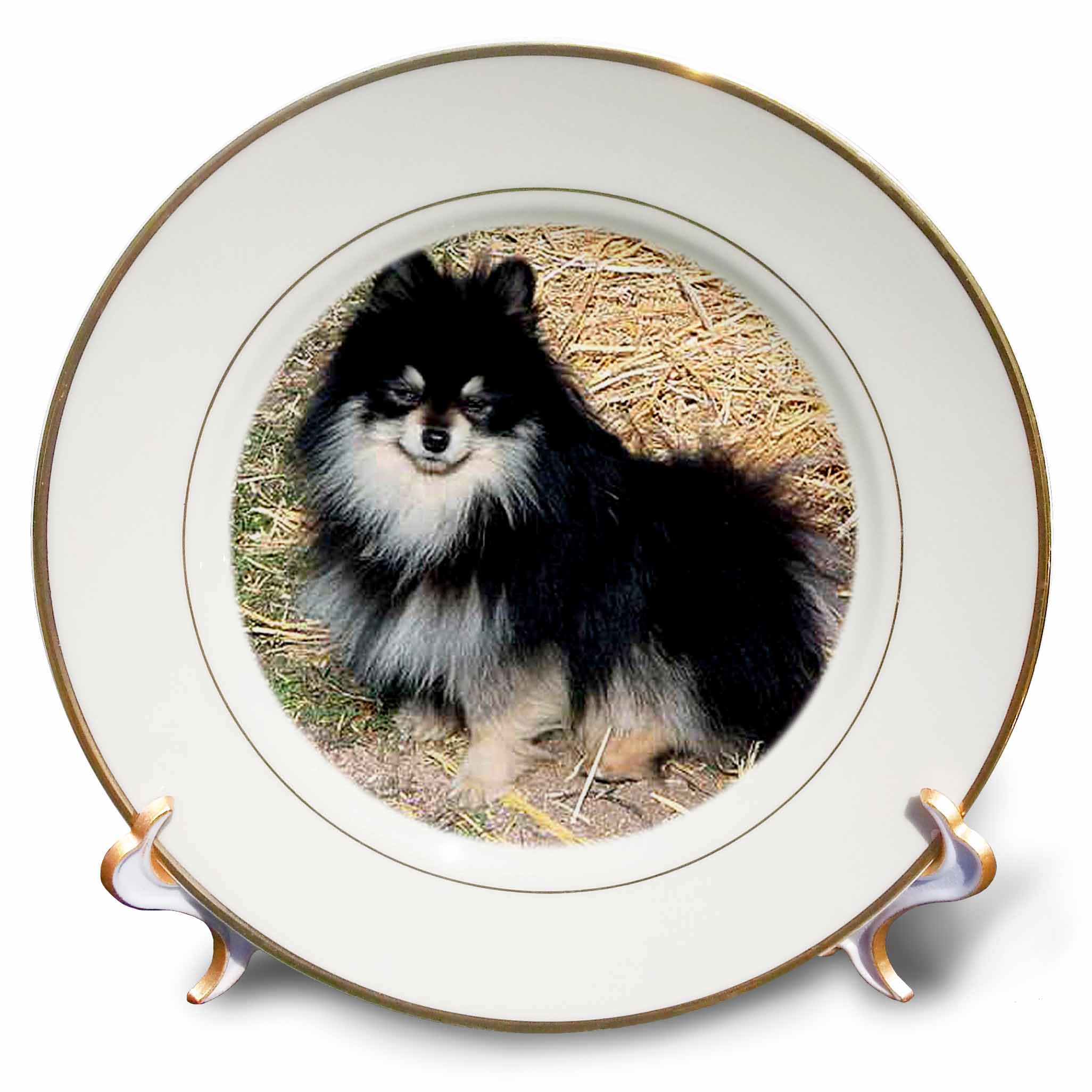 Amazon.co.jp: 犬ポメラニアン – 黒とタンポメラニアン – プレート 8