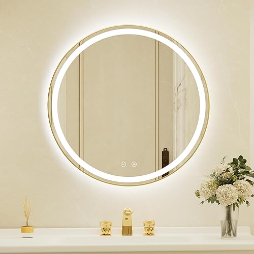 30 Inch Round Gold Framed LED Bathroom Mirror with Lights,Wall-Mounted