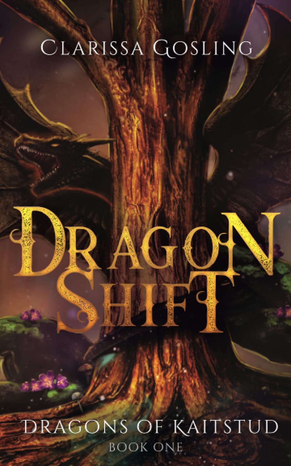 Dragon Shift: A young adult fantasy (Dragons of Kaitstud Book 1)