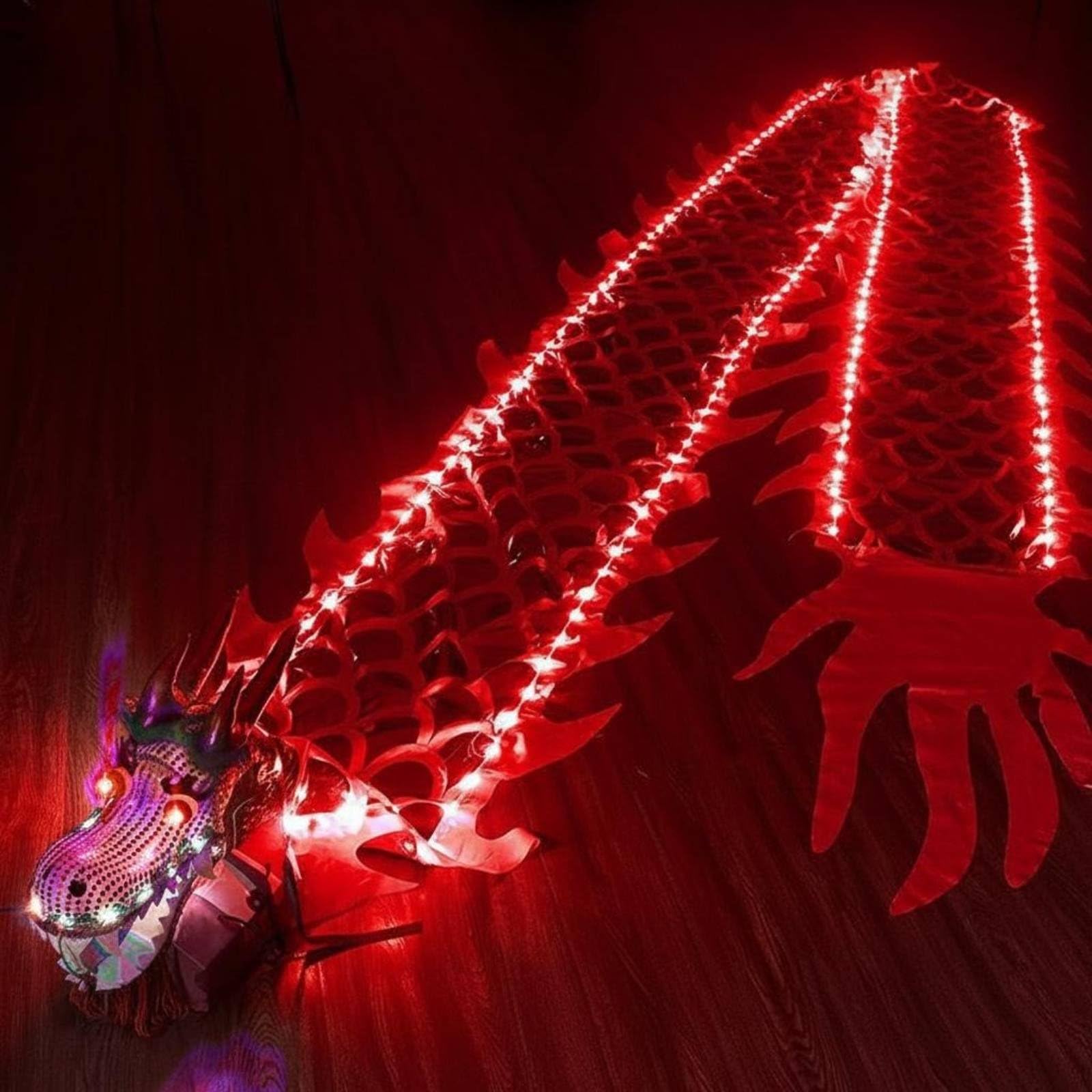 LED Dragon Poi, Drachenband mit Kopf, Wu Long für Outdoor Park | Flinging Wu Long Streamer, 3D-Drachenband-Streamer mit Lichtern für Erwachsene, Senioren, Aufführung, Fitness