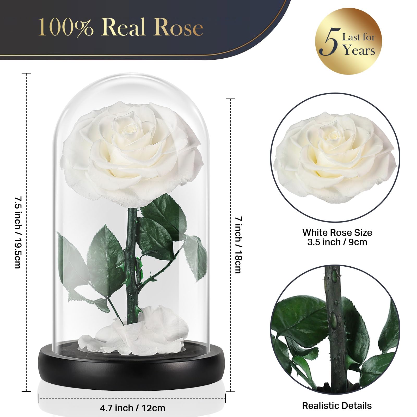 Belle en het Beest Roos, FURNSII Eeuwige Roos In Glazen Koepel met Warme Lichten, Bloemen Cadeau voor Valentijnsdag, Moederdag, Jubileum, voor Haar, Verjaardag, Moeder, Vrouw, Vriendin