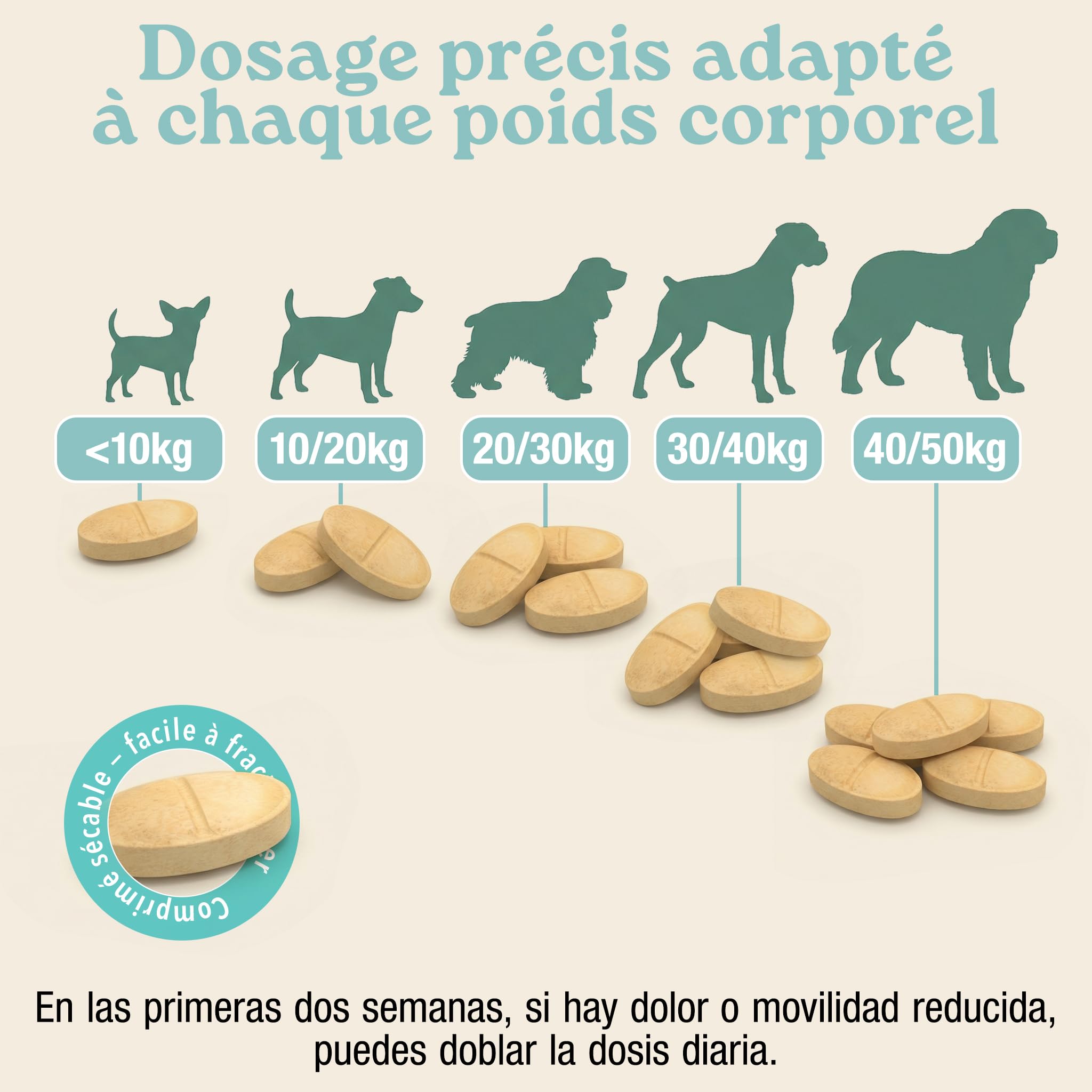 MyPetPrime Articulations Chien Complément Alimentaire 125 Comprimés | Nouvelle Formule JointSupport avec MSM, Poudre de Moule Verte, Glucosamine et Griffe du Diable