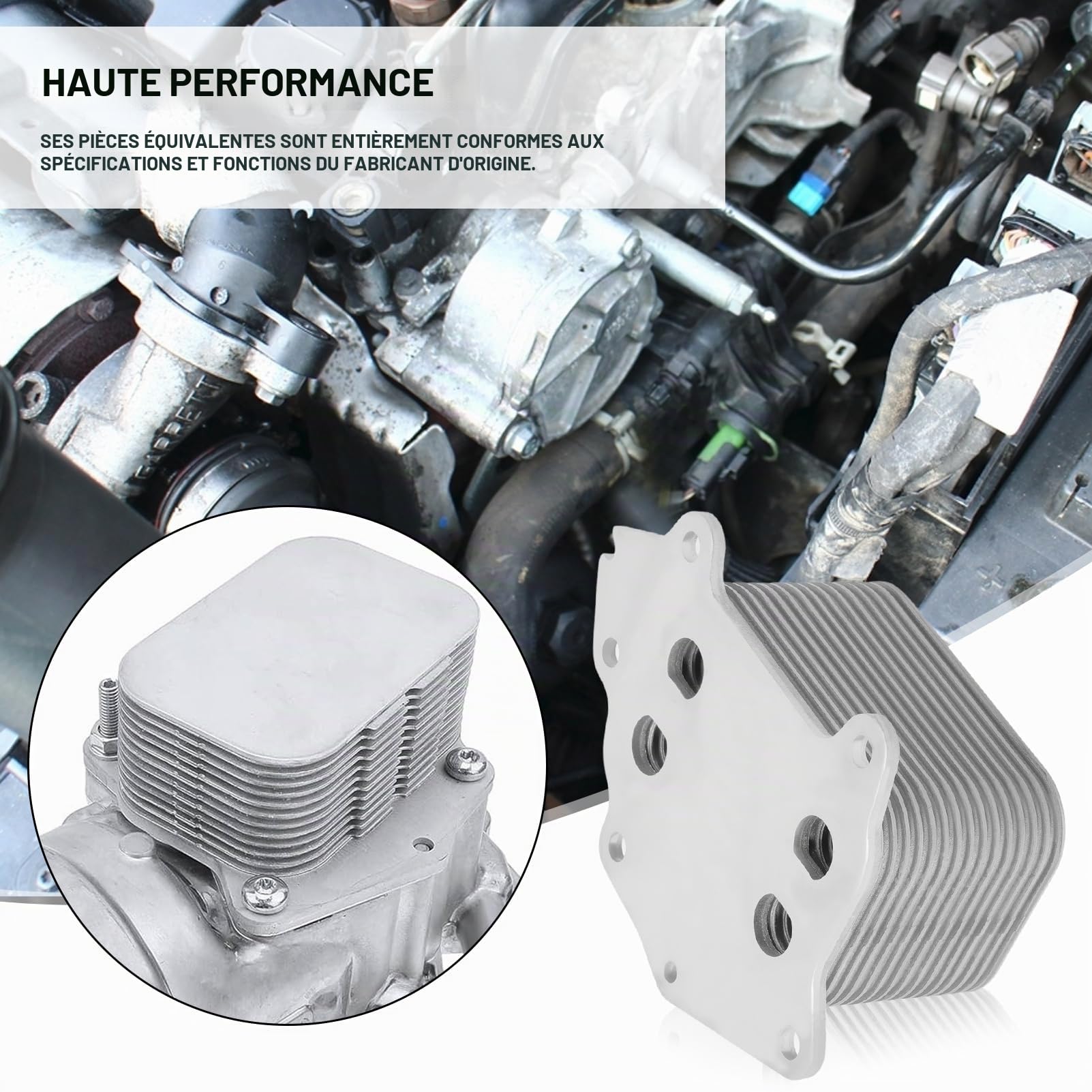 Refroidisseur Huile pour Berlingo C2 C3 C4 C5 peugeot 206 207 208 2008 308 3008 Partner Mini R56 C-Max Fiesta Focus Mondeo Oil Refroidisseur Filtre à Huile 1103L1 1516998 Radiateur Huile