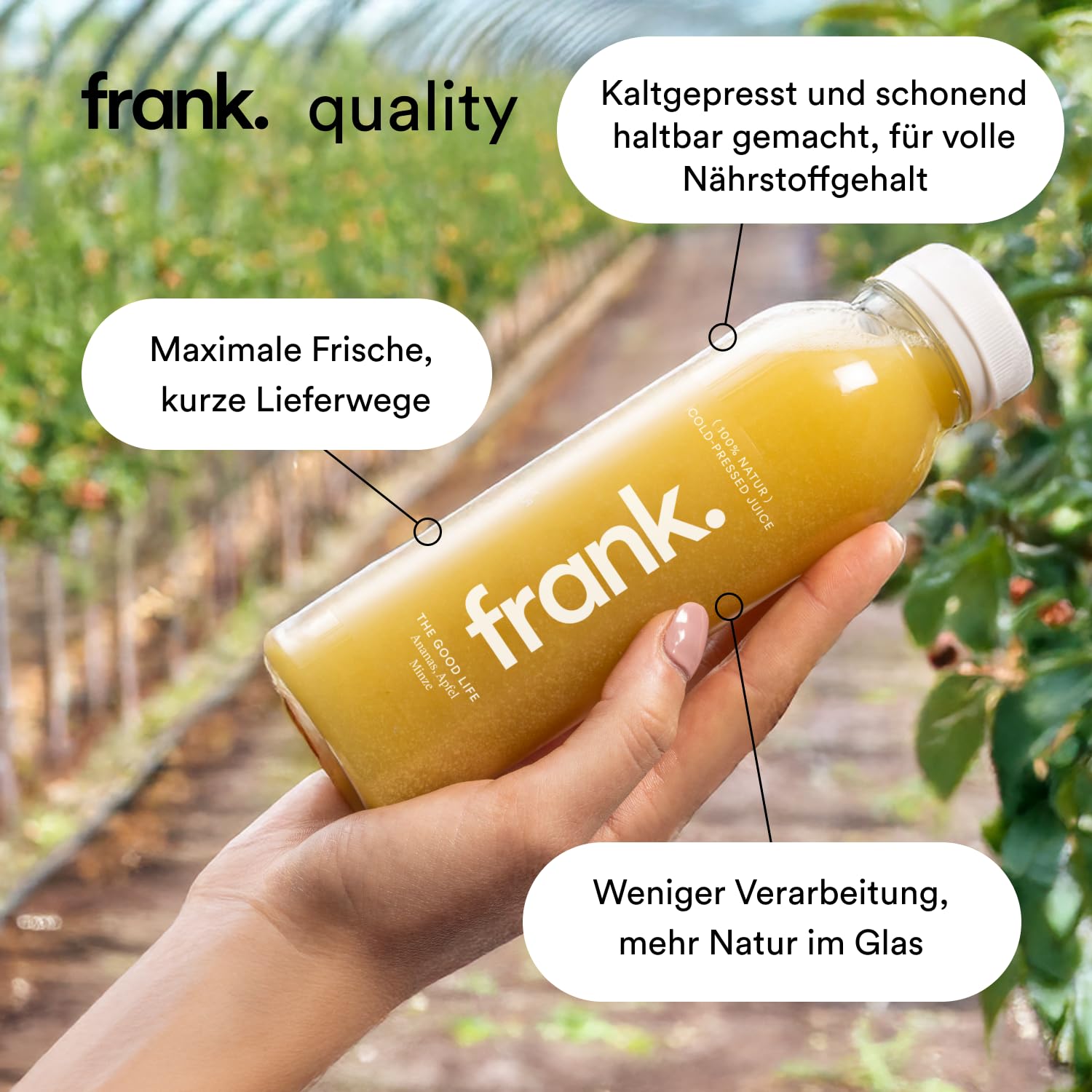 Frank Juice Saftkur Probierpaket 10x 330ml Kaltgepresste Säfte Obst Gemüse ohne Zusätze