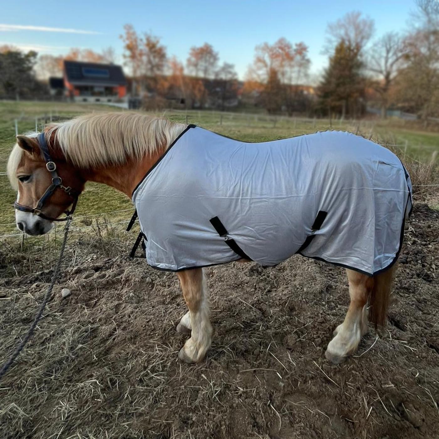 Manta antimoscas para caballos de Brama-West FlyProtect – Manta ligera contra moscas e insectos con cinturón abdominal, cierre frontal y solapa para la cola, transpirable verano (115)