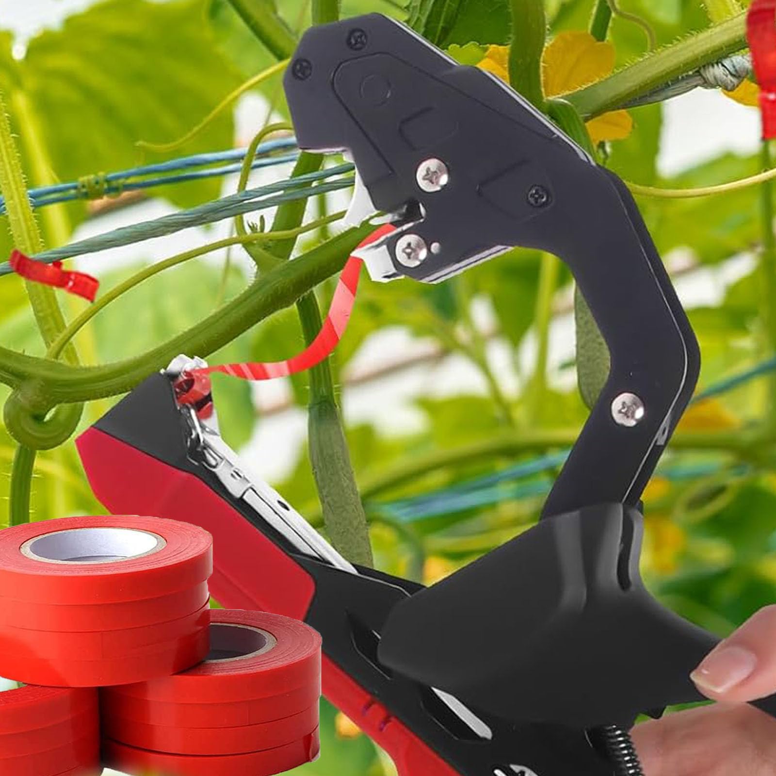20 rotoli di nastro da giardino, rotolo di nastro vegetale, 10000 punti per piantare pomodori vigneti, vigneti, fiori (c)