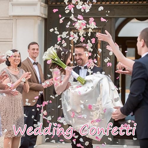 Miniatura 3 de Miofula Pétalos de rosa rosa reales secos, pétalos de flores preservados congelados para decoración de fiesta de boda, pétalos de rosa para noche