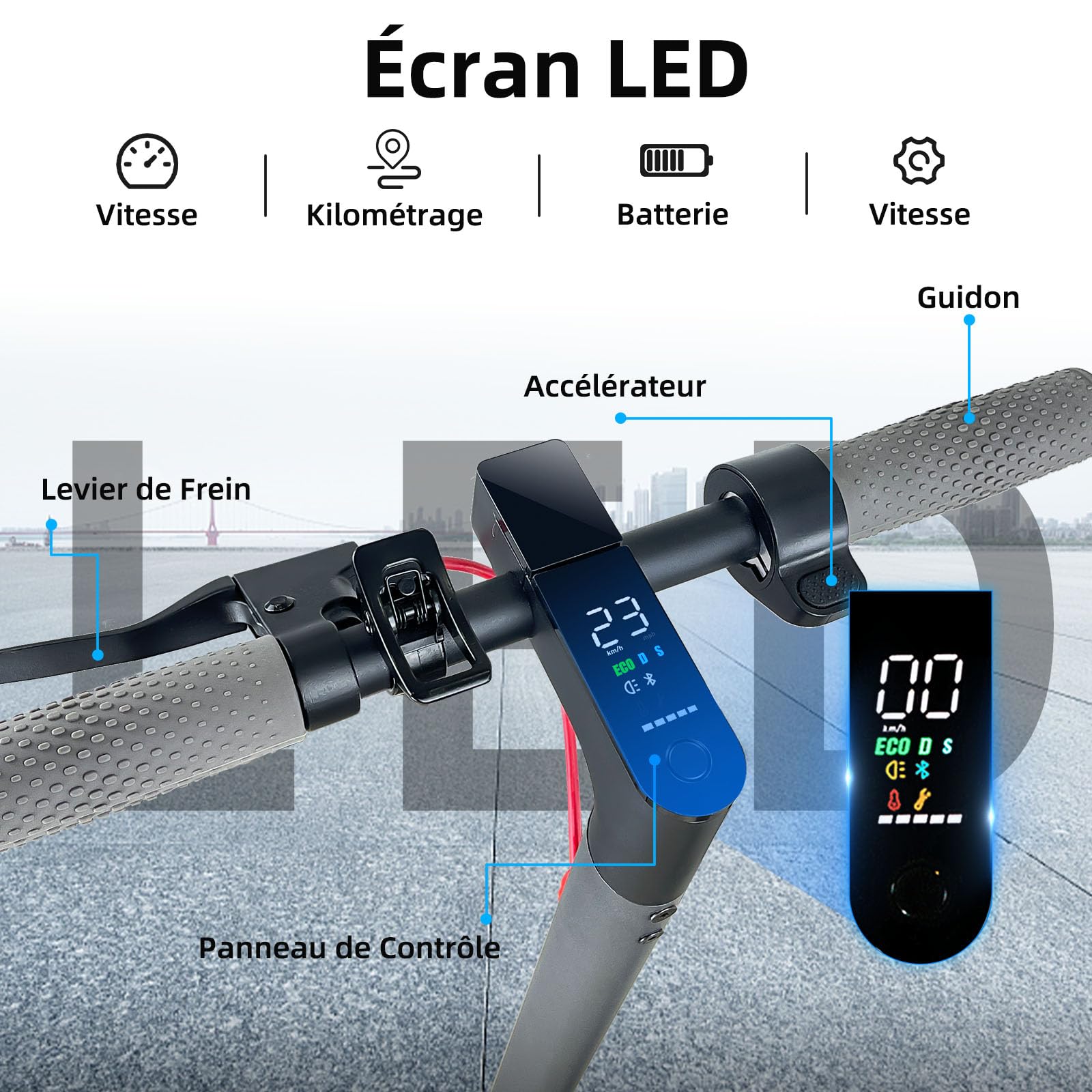 Trottinette Électrique Adulte 350W/25KM/H Autonomie 30KM,Trotinette électrique Pliable, Pneus Nid d’Abeille Increvables 8,5",Trottinette Electrique Adolescents Double Frein,APP,Charge 120kg Escooter