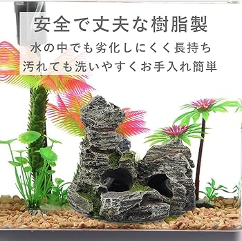 熱帯魚トンネル水槽　オブジェ Amazon.co.jp: PENGYETHTY 金魚 水槽 隠れ家 水槽 オブジェ