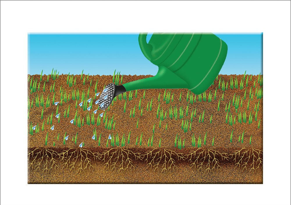 COMPO Lawn Game and Sport, Universal Lawn Mixture, 8 kg, 400 m²