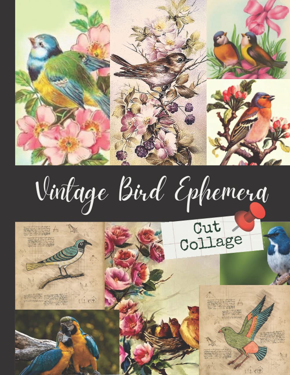 Vintage Bird Ephemera (Cut Collage): 24 Sheets, One-Sided Decorative Paper for Junk Journaling, Scrapbooking, Decoupage, Collages, Card Making & Mixed ... Collage) (Bird-Themed Cut-out and Ephemera)