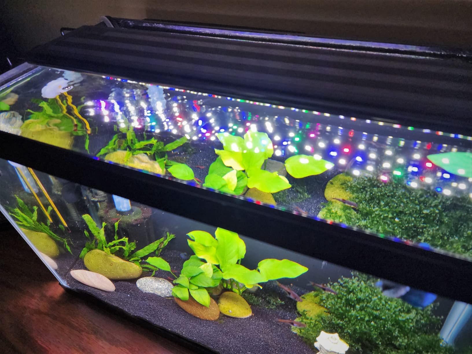 7/mo Finance SEAOURA Led Aquarium Light for PlantsFull Spectrum