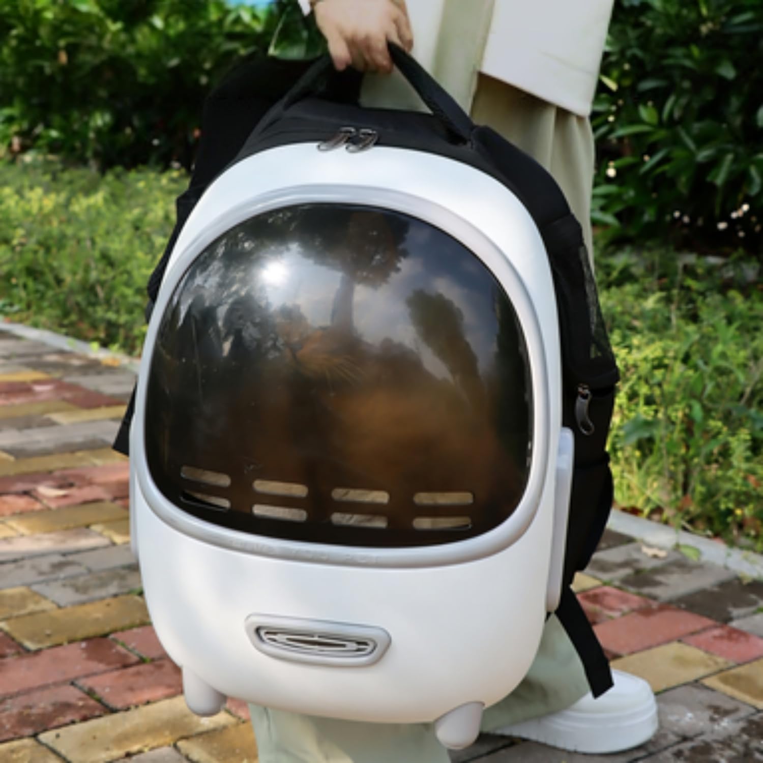 Zaino Capsula Spaziale Trasparente Espandibile per Gatti Guscio Duro e Rete Traspirante Spallacci Imbottiti Trasportino per Animali Senza Mani,Verde