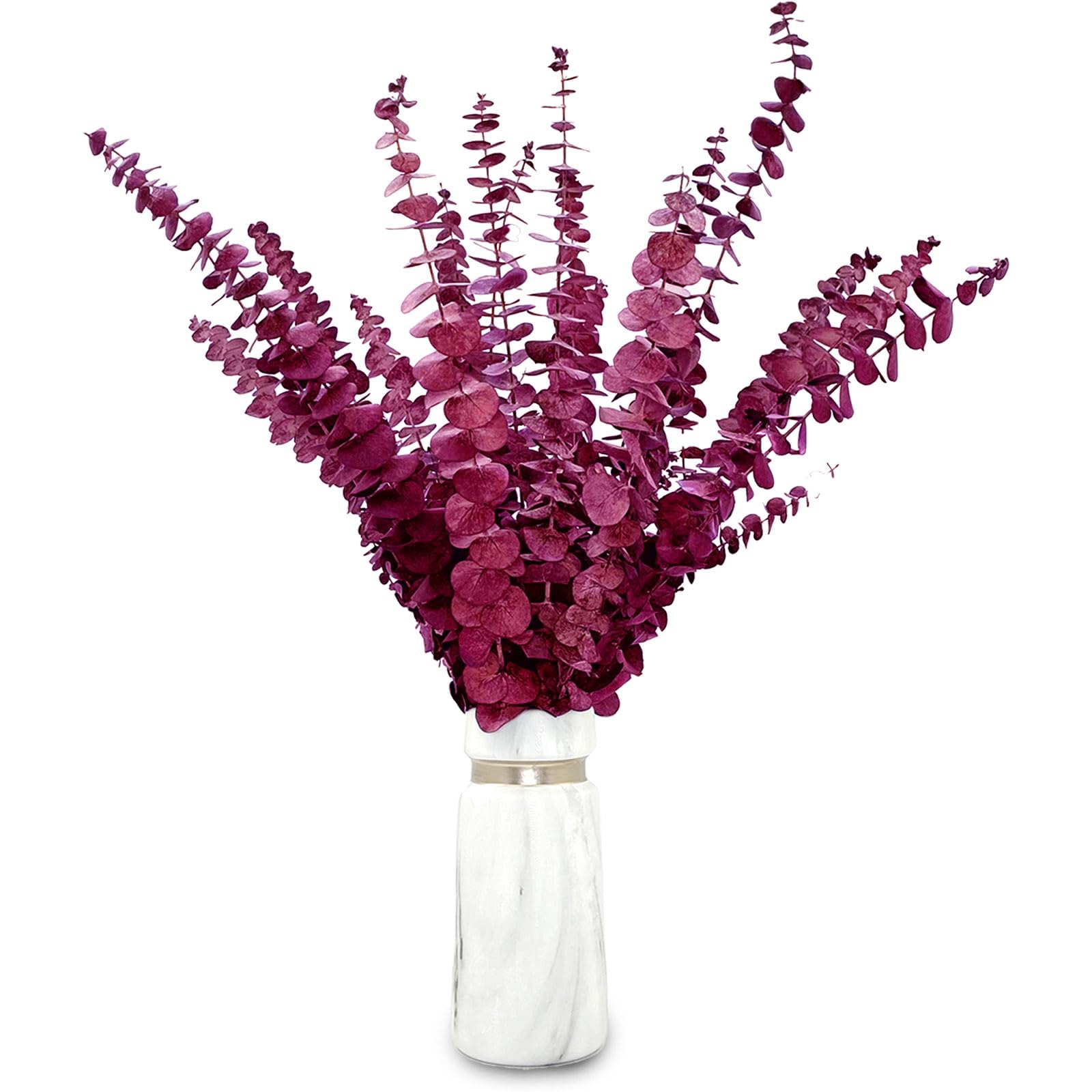 20 Pcs Dried Preserved Eucalyptus Stems 17" Natural Fresh Red Plant Made from Real Eucalyptus Leaves Branches for Flower Arrangement, Wedding Decor, Home DΓ©cor
