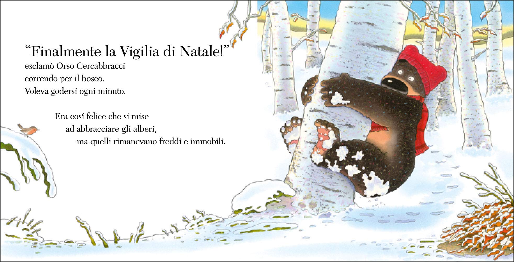 Buon Natale, Orso Cercabbracci!
