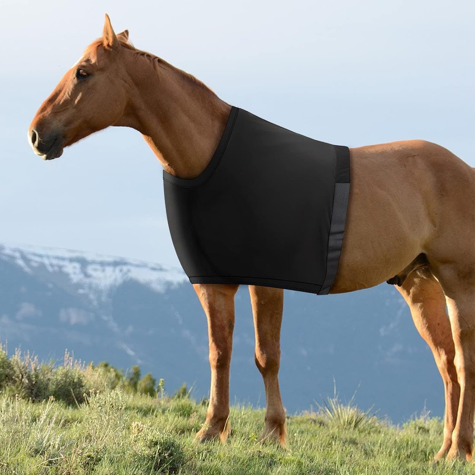 Horse Body Belly Guard – Breathable Anti Friction Horses Sleezy | Shoulder Pads and Bibs Chest Saver Protector, Bandage Wrap and Spur Mark Belly Cover for Rub Protection Horses Needs