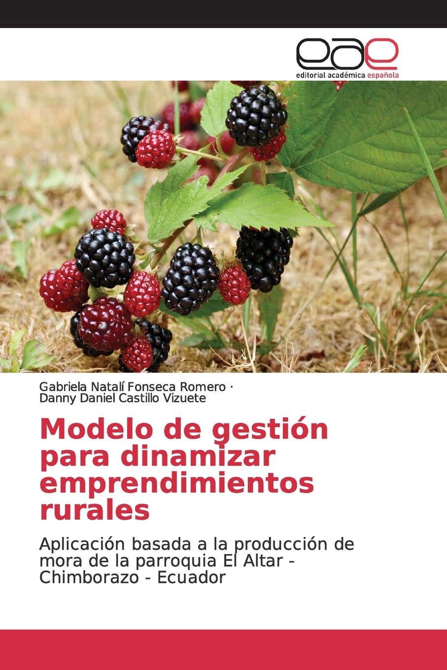 Modelo de gestión para dinamizar emprendimientos rurales: Aplicación basada a la producción de mora de la parroquia El Altar - Chimborazo - Ecuador
