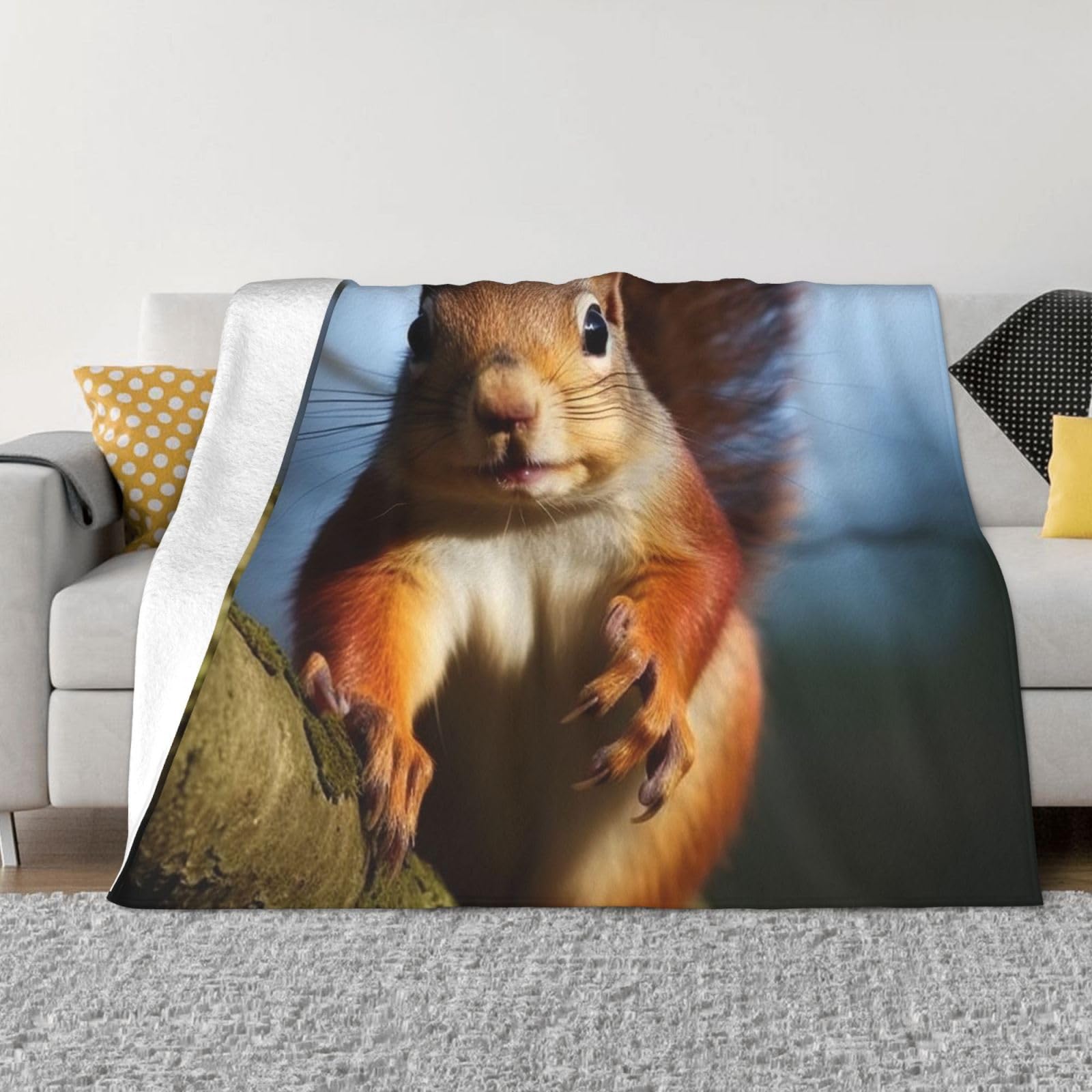 Fodpand Black Squirrel Funny Animal Flannel Blanket 50"X40" - Ultra-Soft Lightweight Throw Blanket For Bed, Sofa, And Couch - Luxury Air Conditioning Blankets - Cozy Warm Blankets For All Seasons