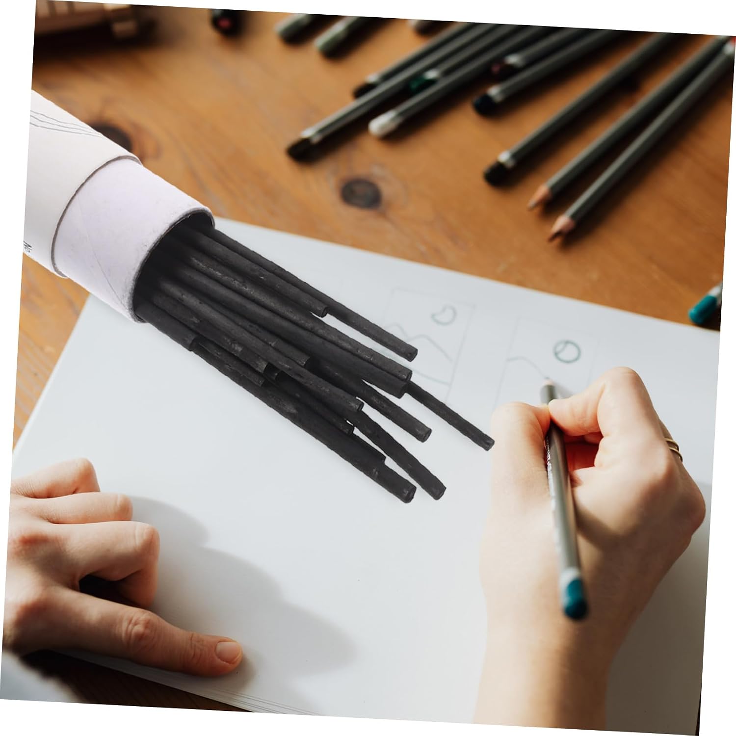 HOMSFOU 25Pcs Compressed Willow Charcoal Sticks for Drawing and Sketching Professional Charcoal for Artists and Students for Shading and Art