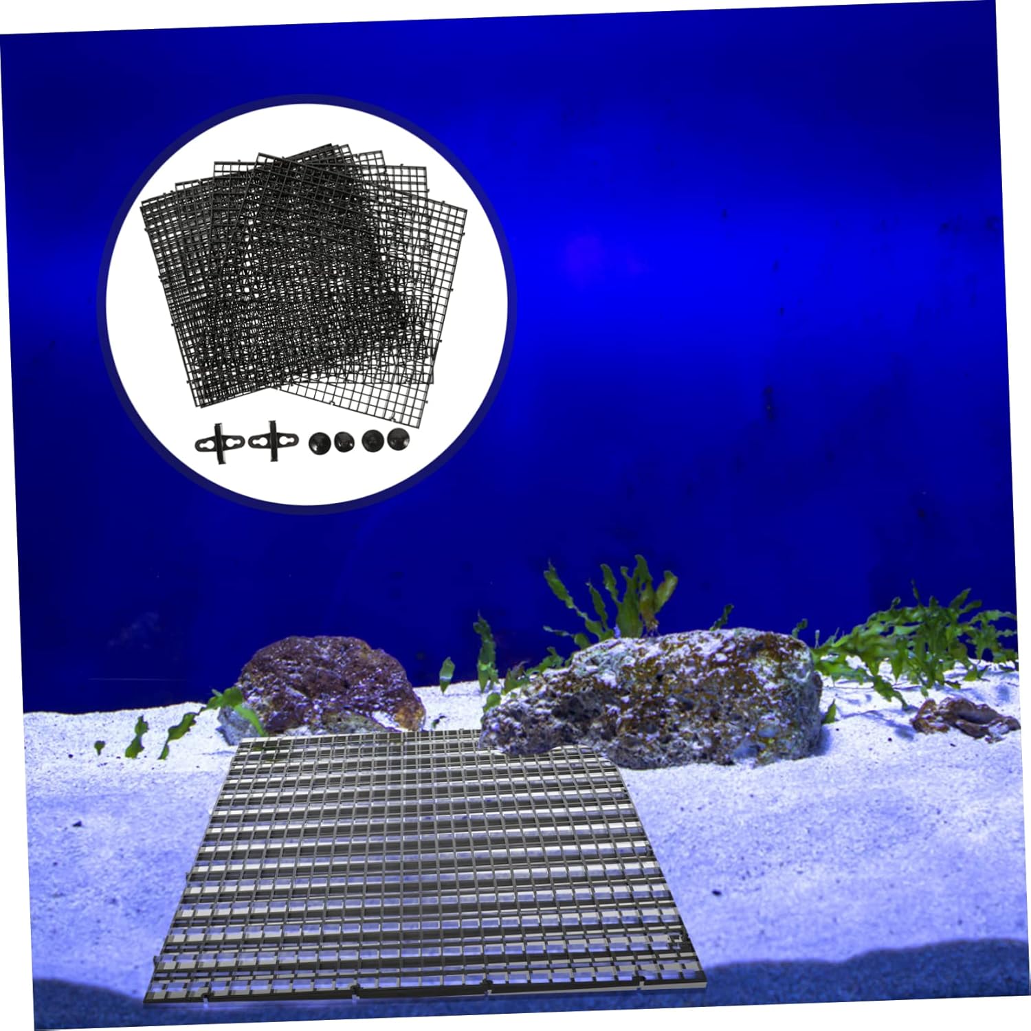 1set Fish Tank Divider Plates Cups Aquarium Isolation for Fish Tank Removable and