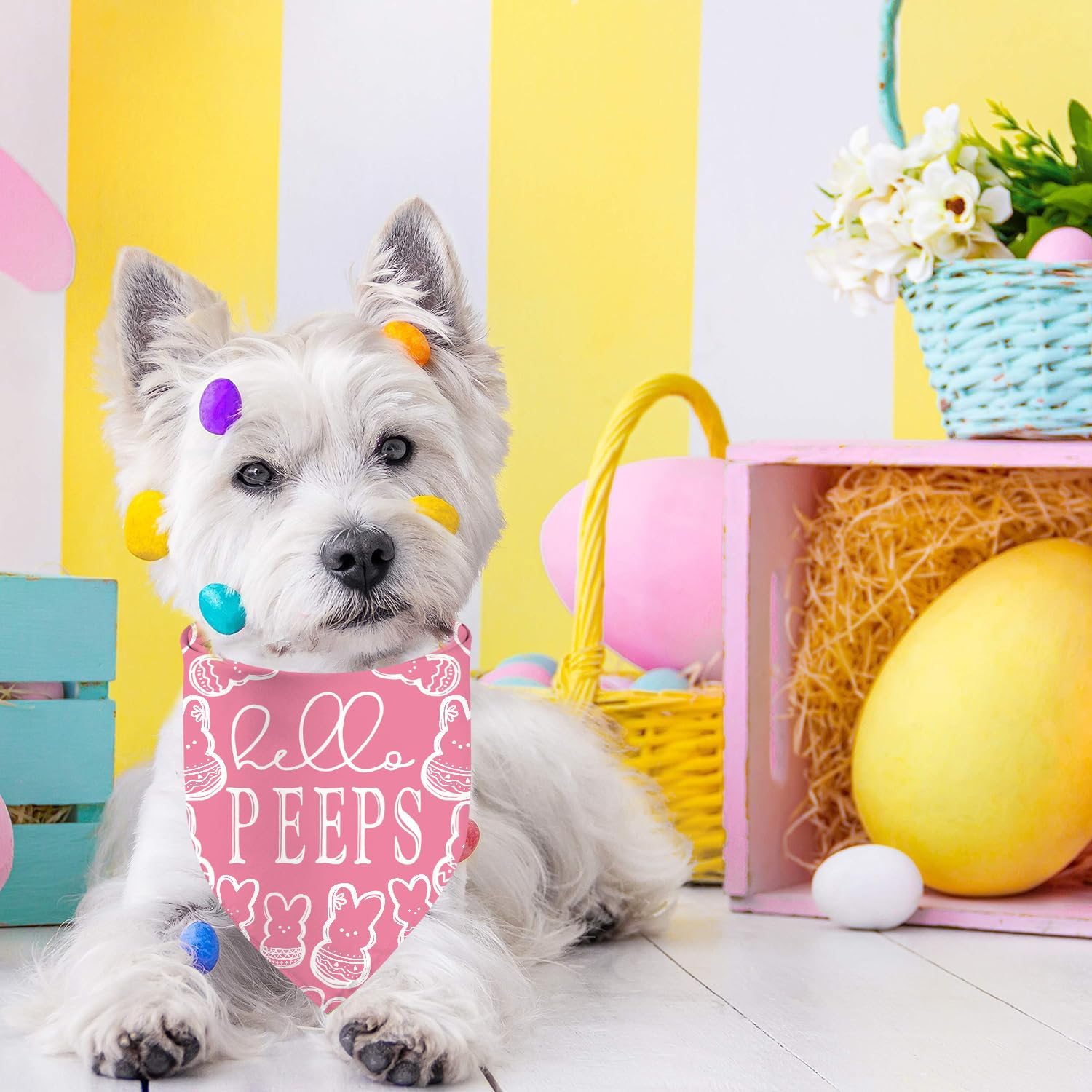 Easter Dog Bandanas, Reversible Dual-Layer Easter Eggs Design 2 Pack, Happy Easter Holiday Puppy Dog Kerchief Gifts (01)