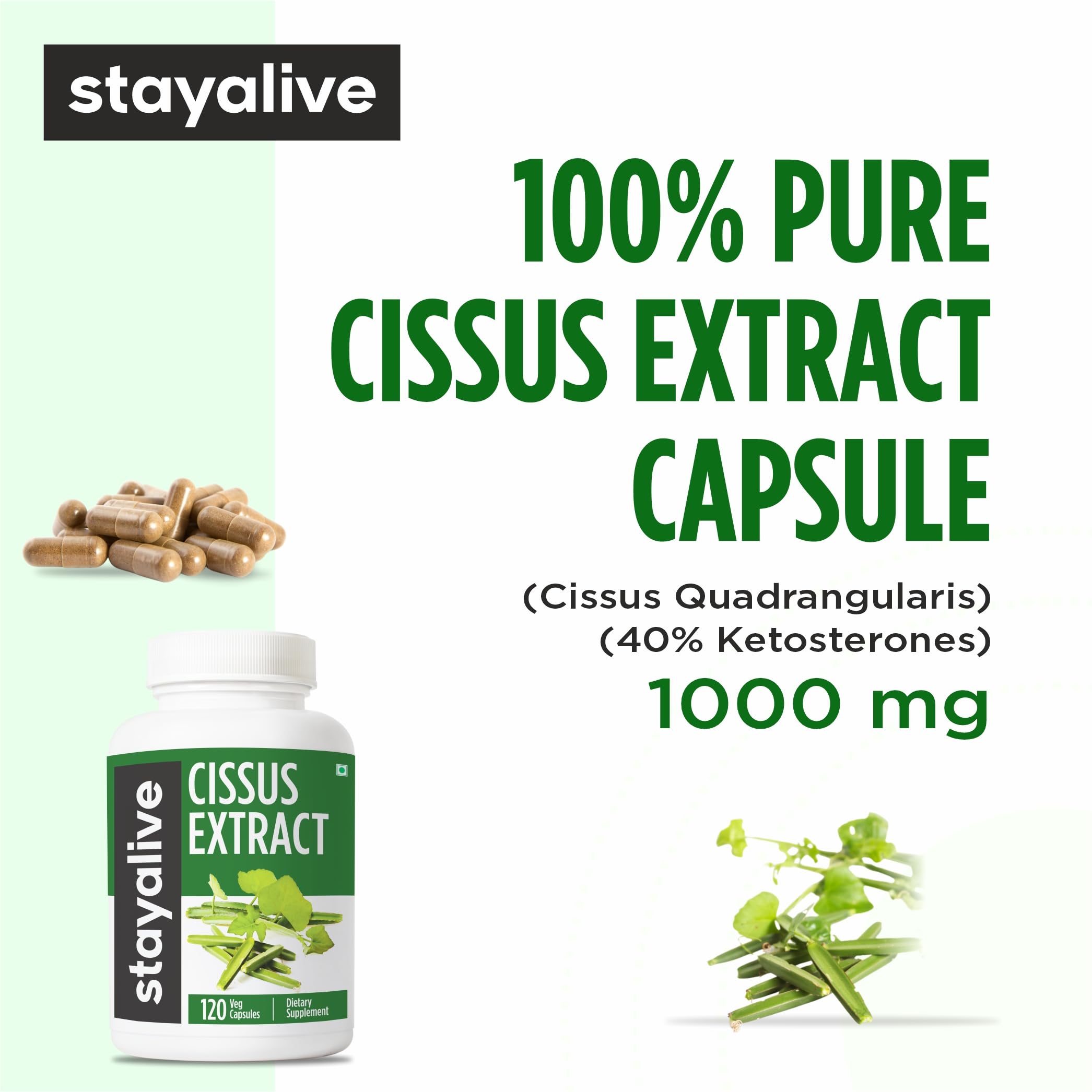 STAY ALIVE Cissus Quadrangularis Supplement 1000mg, 120 Pills, Pure Extract Powder with 40% Ketosterones, Non-GMO and Gluten-Free Cissus Extract Capsules for Men and Women 1
